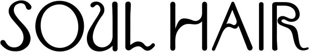 Logo SOUL HAIR